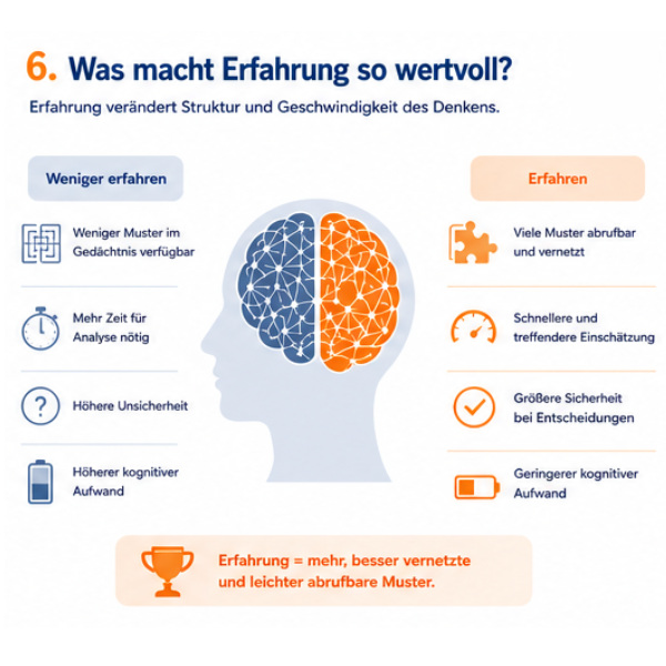 6-erfahrung