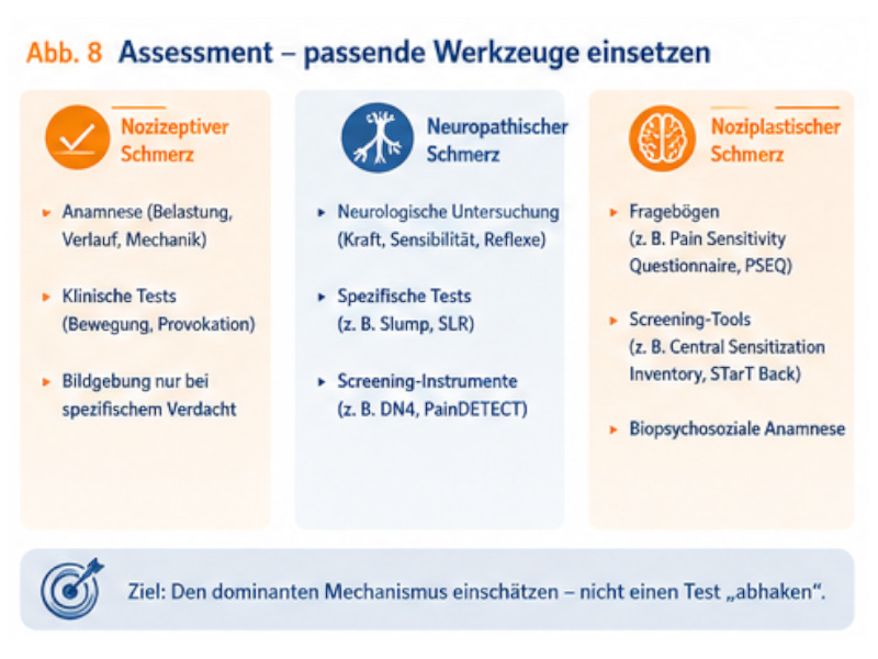 assessment Grafik zu nozizeptivem, neuropathischem und noziplastischem Schmerz mit passenden Untersuchungs- und Screeningmethoden