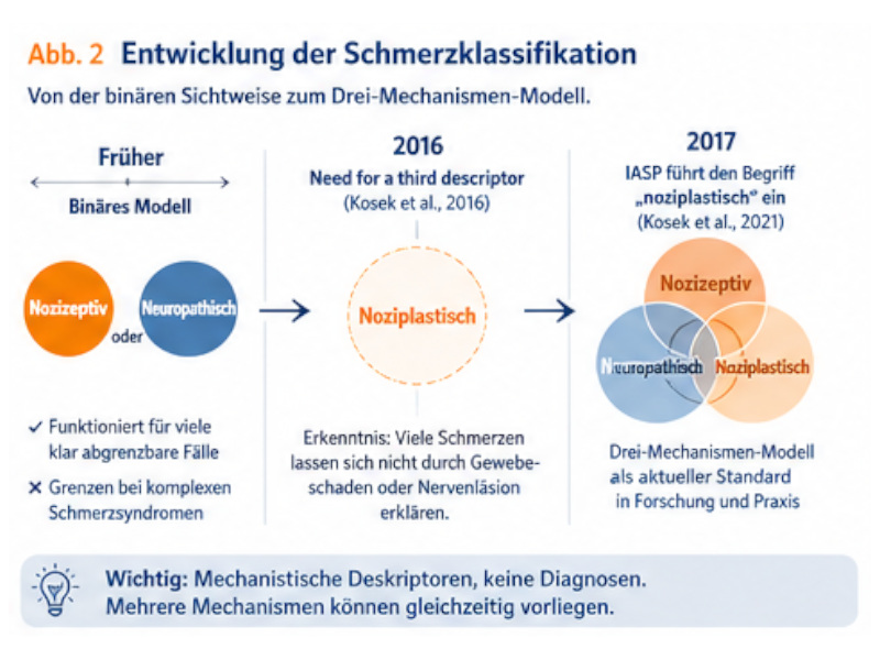 schmerzklassifikation Grafik zur Entwicklung der Schmerzklassifikation mit nozizeptivem, neuropathischem und noziplastischem Mechanismus.